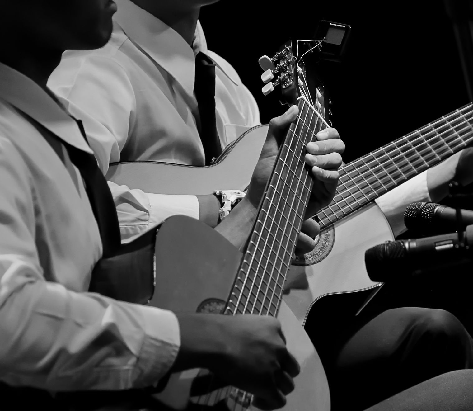 guitarra-jardin-del-country