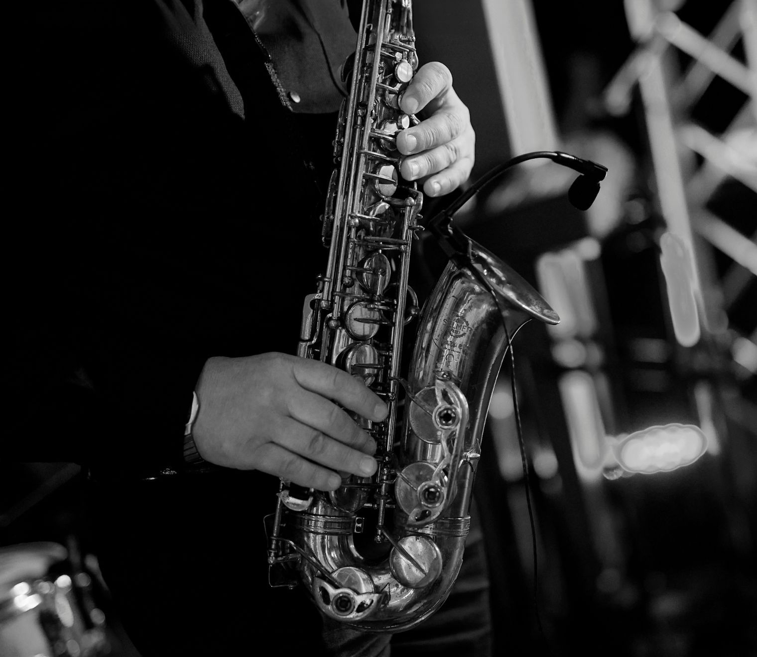 saxo-jardin-del-country